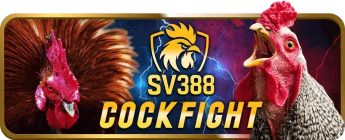 Giao dịch an toàn và nhanh chóng mayclup win